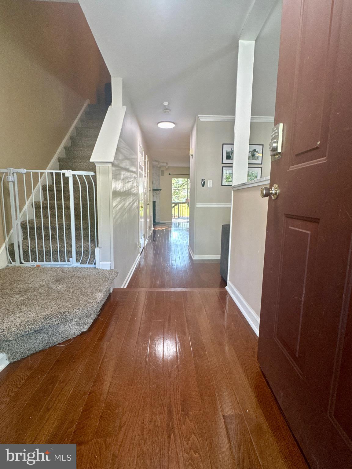 24 DANA COURT 24