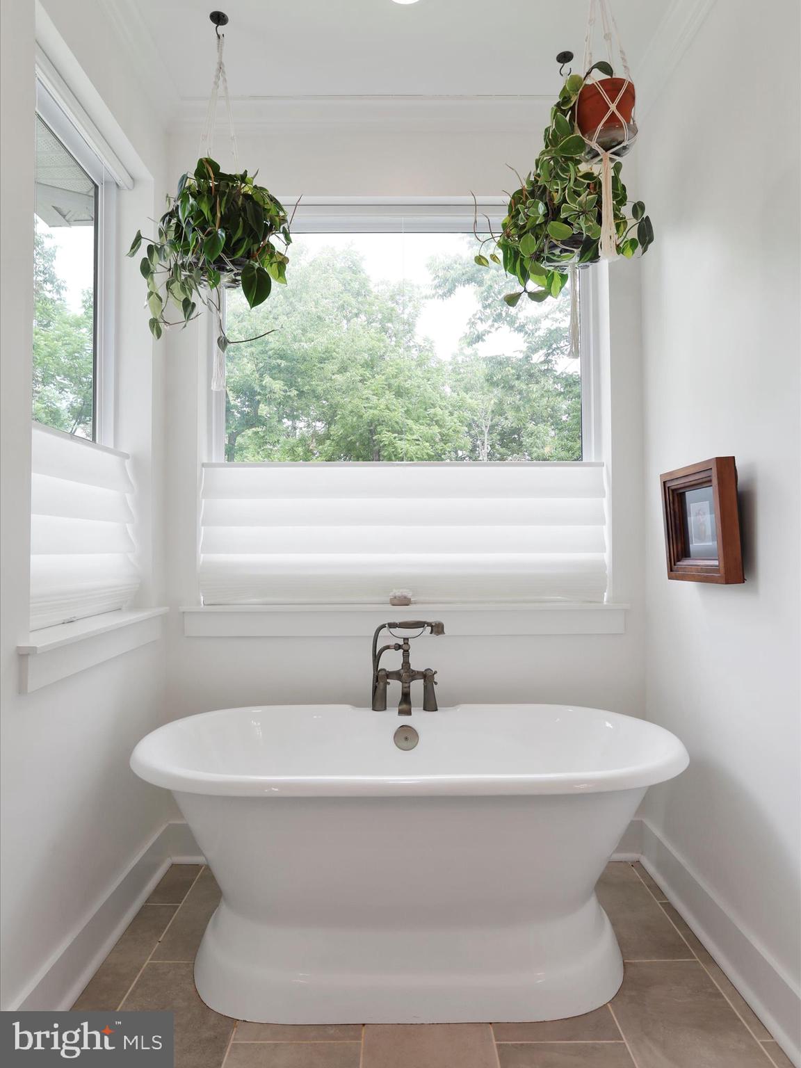 ROCK HILL ESTATES - Residential