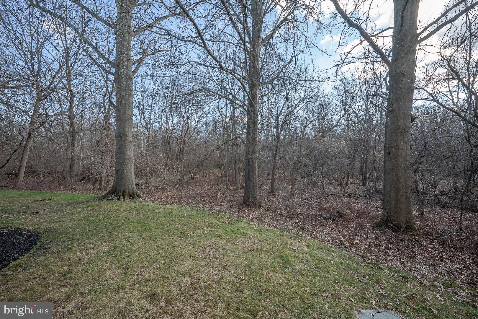 VALLEY STREAM - Residential