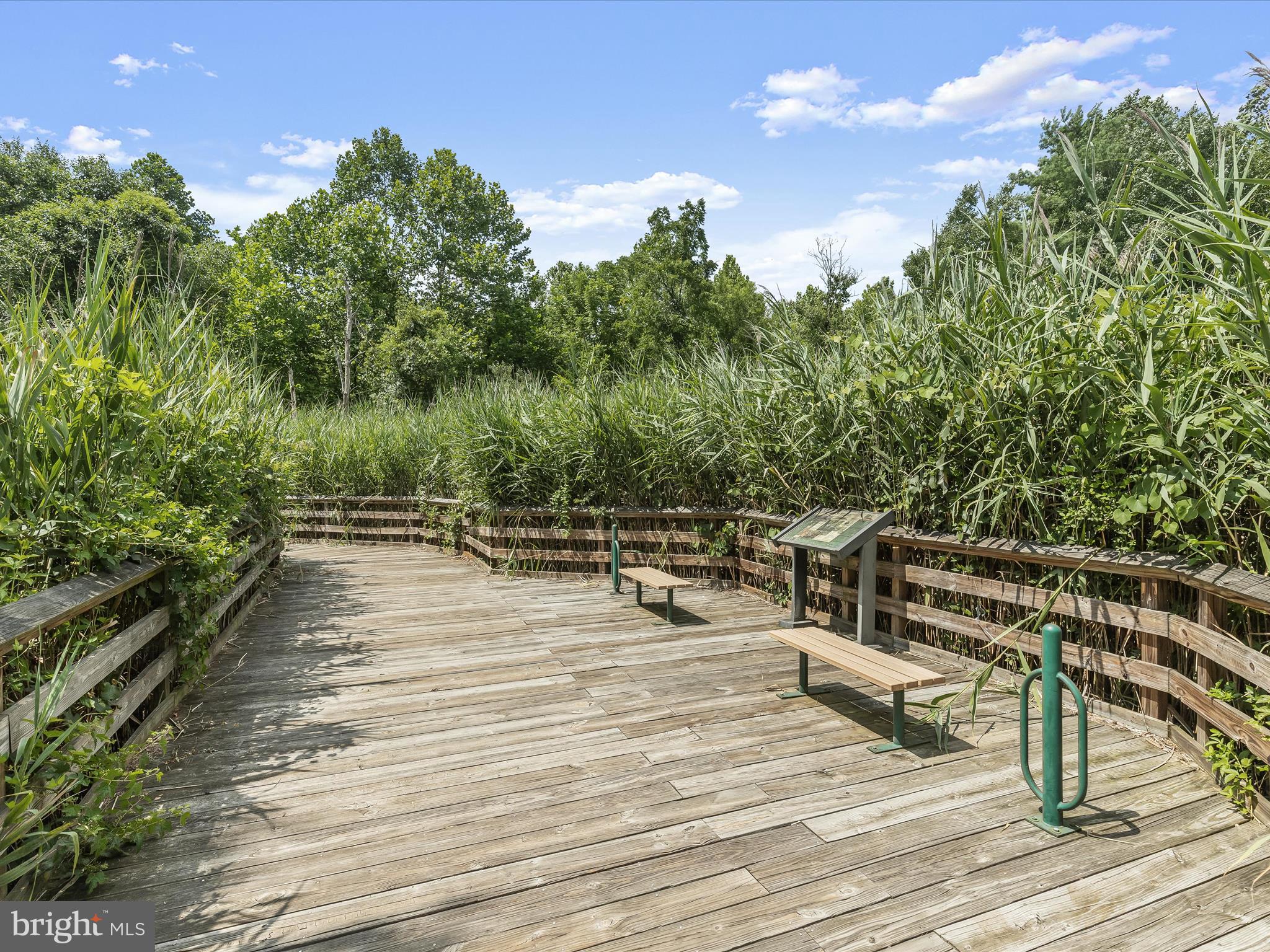 HOLLINGTON AT THE POINTE - Residential