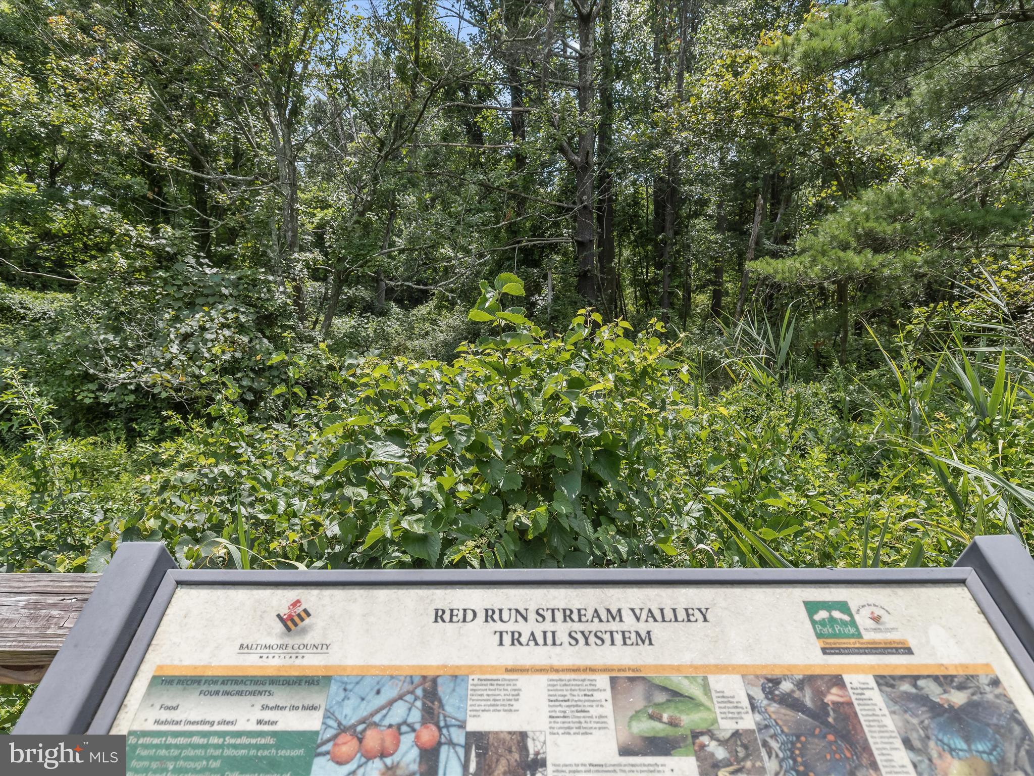 HOLLINGTON AT THE POINTE - Residential