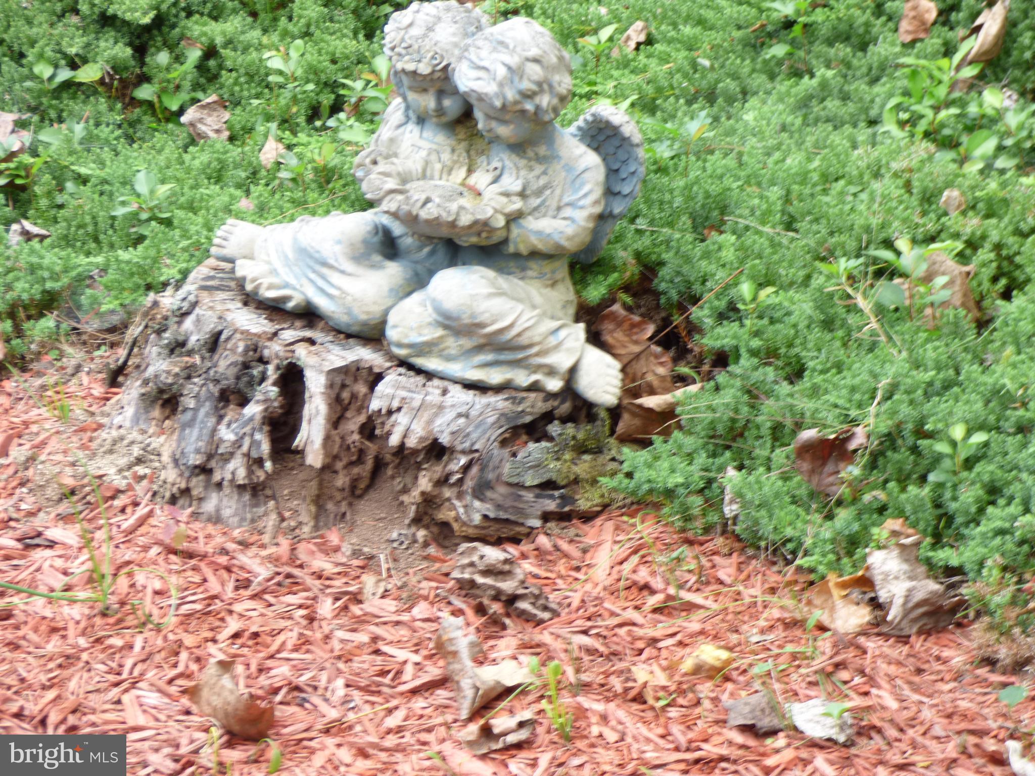 FROSTY MEADOWS - Residential