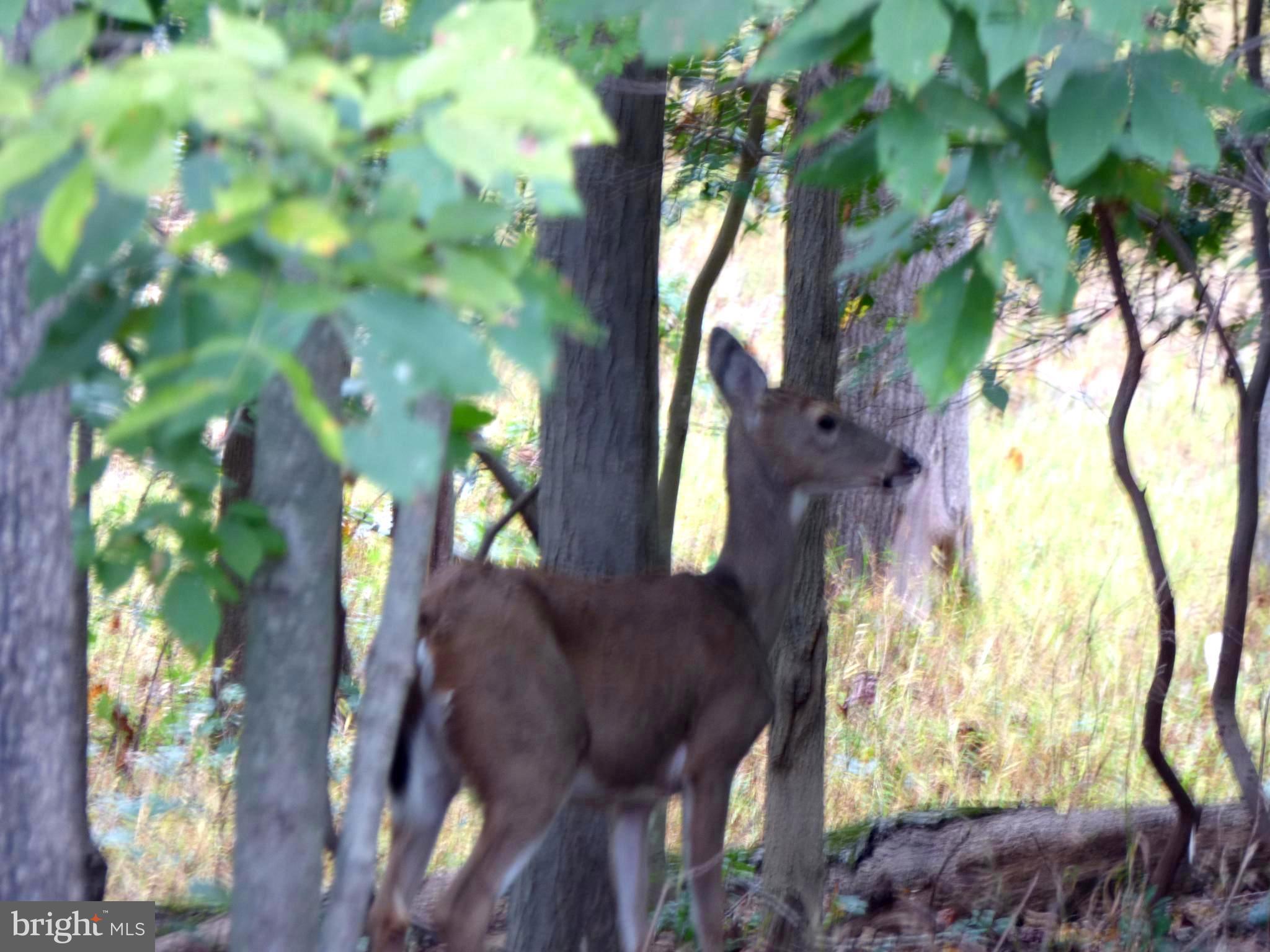 FROSTY MEADOWS - Residential