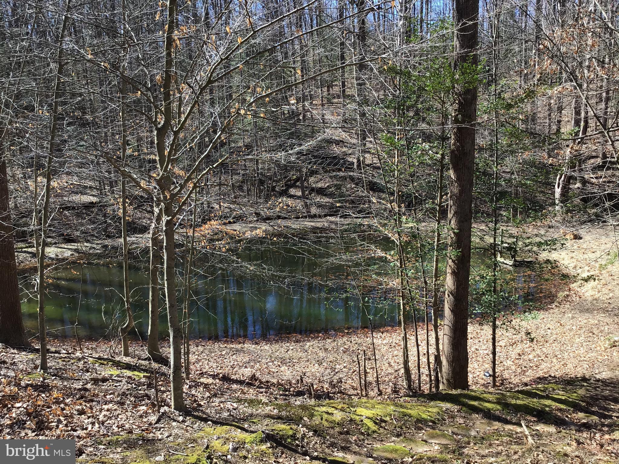 FROSTY MEADOWS - Residential