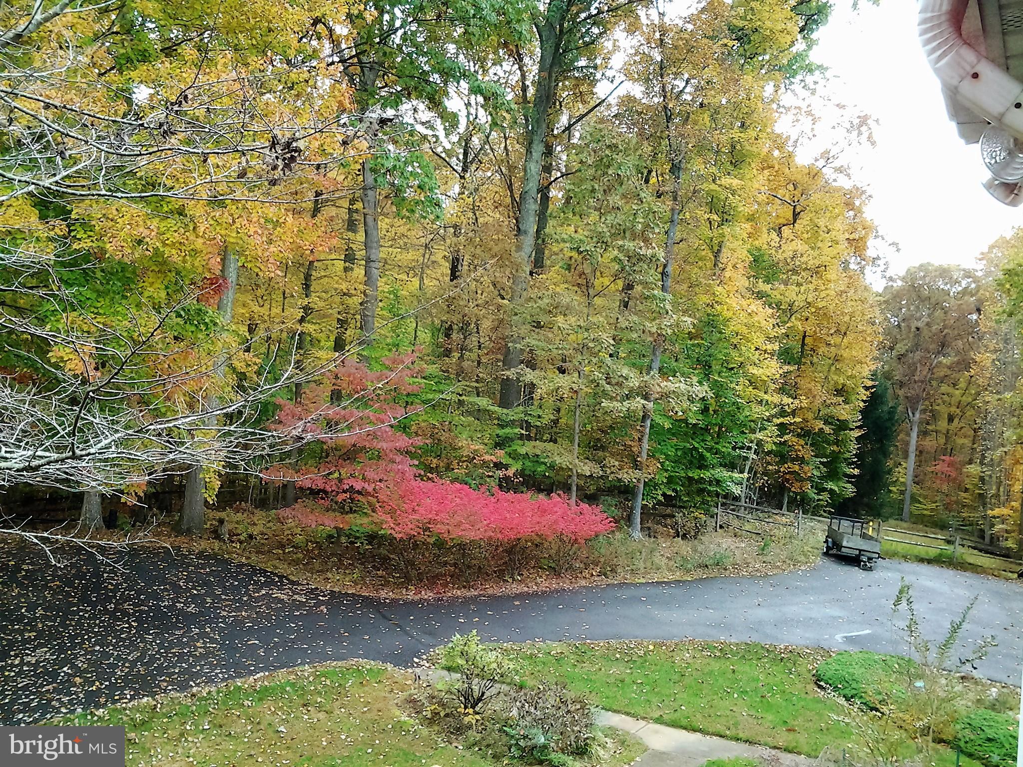FROSTY MEADOWS - Residential