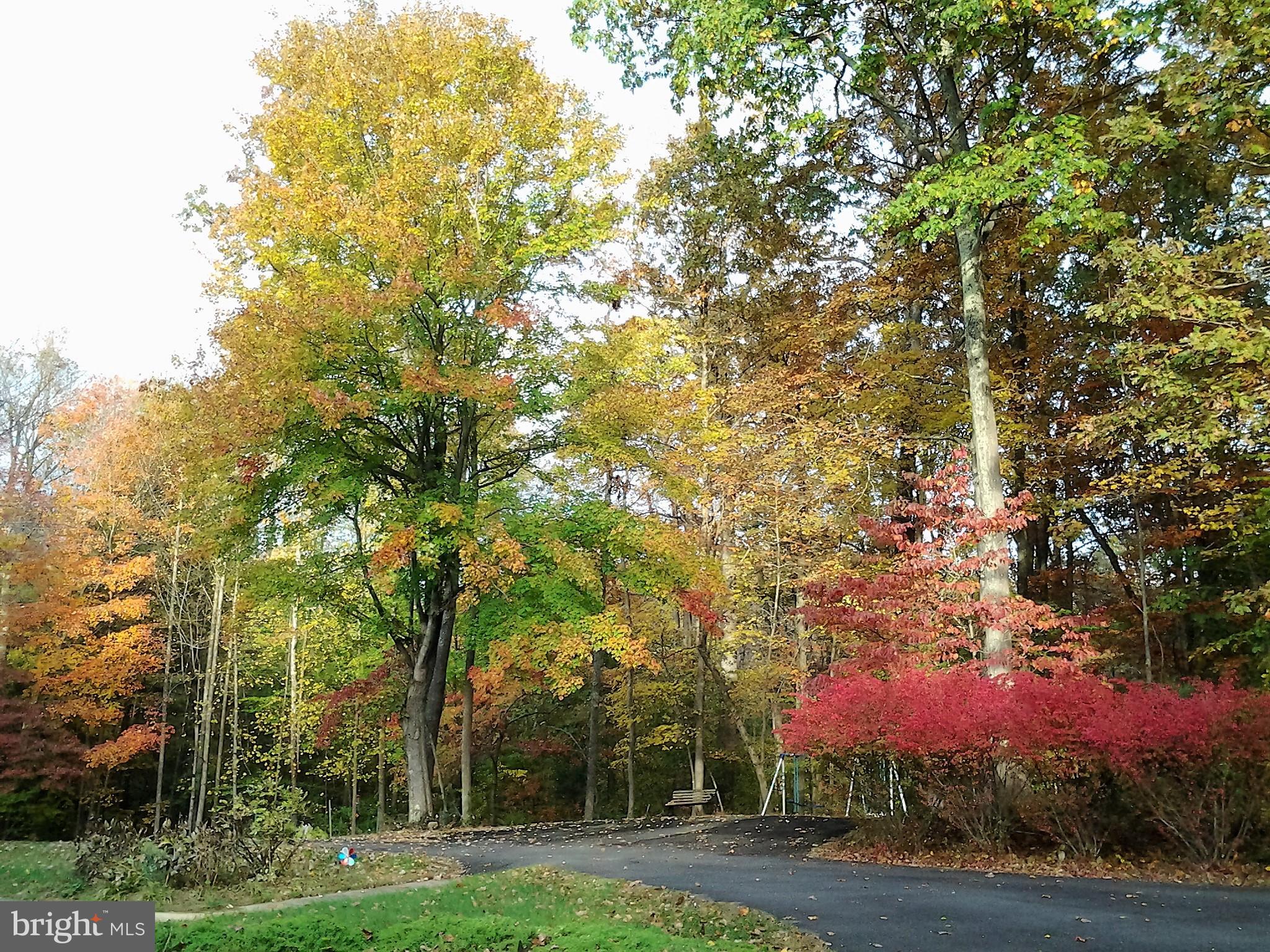 FROSTY MEADOWS - Residential
