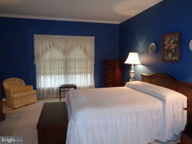 WALNUT COURT - Residential