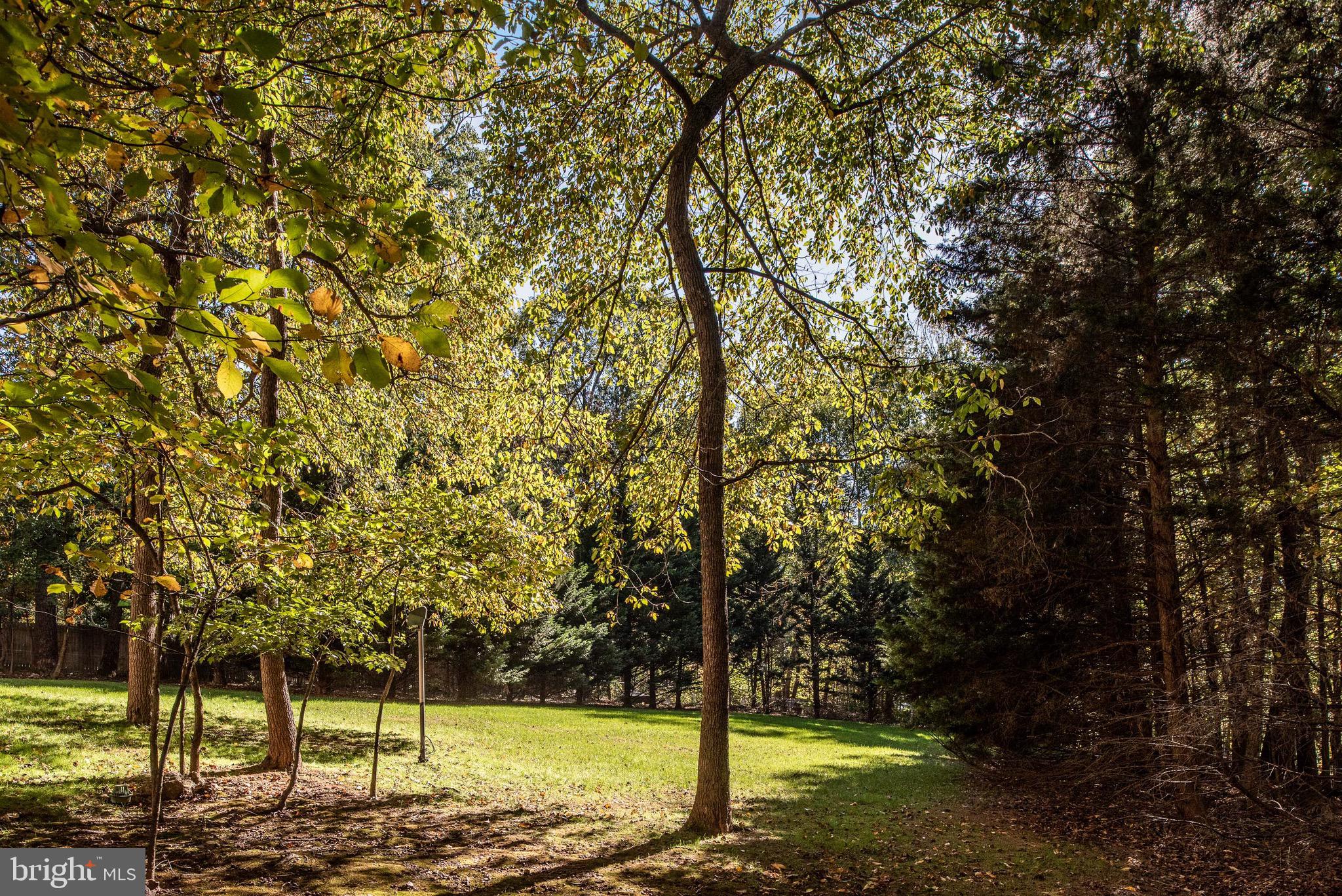 AUBURN MILL ESTATES - Residential