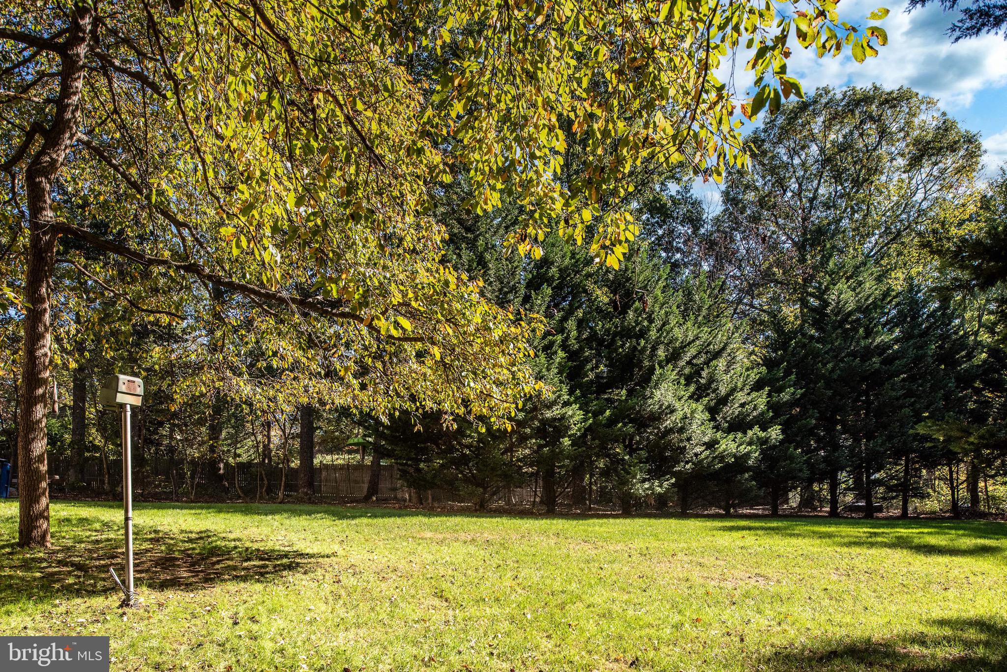 AUBURN MILL ESTATES - Residential