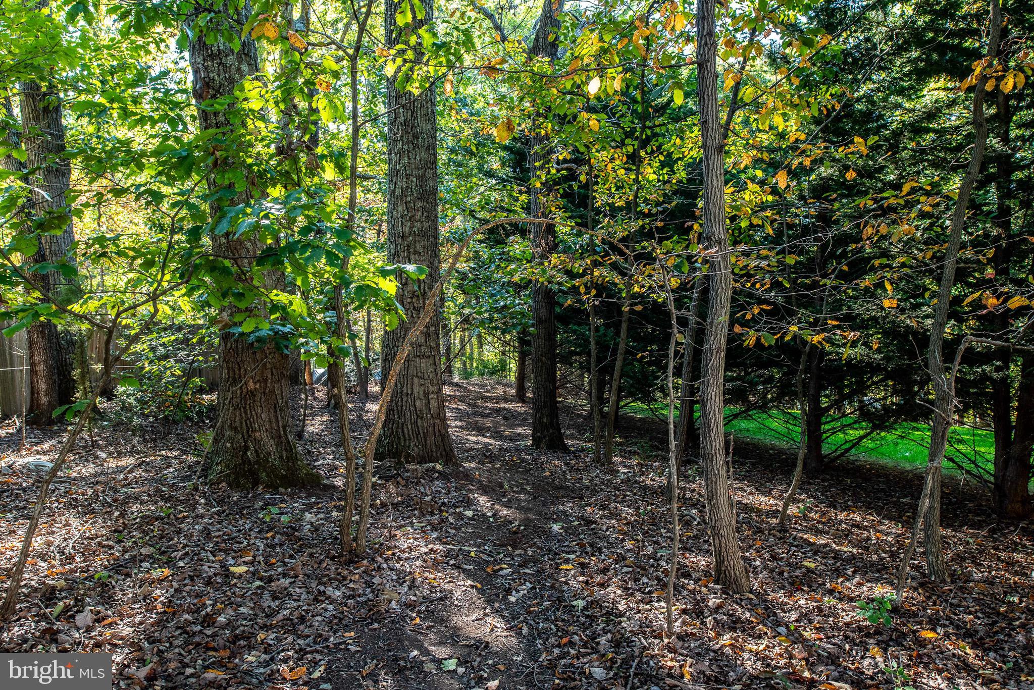 AUBURN MILL ESTATES - Residential