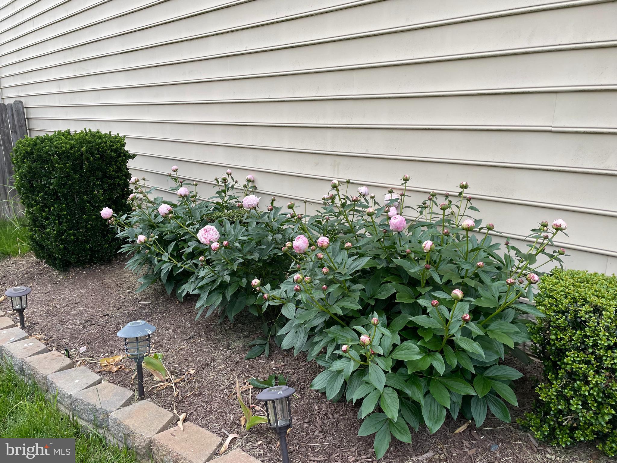 CEDAR BROOKE - Residential