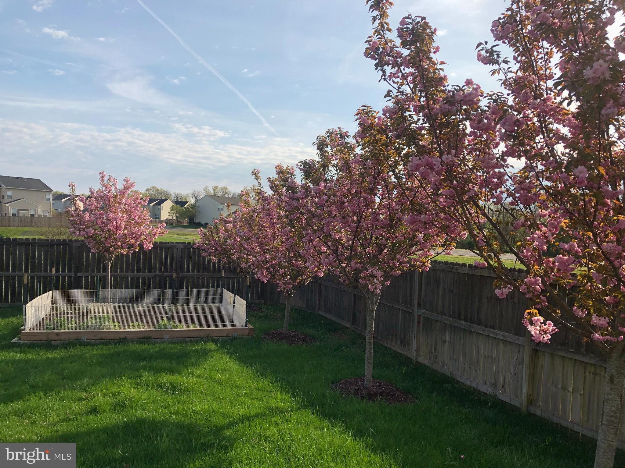 CEDAR BROOKE - Residential