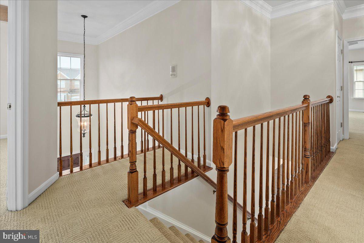 CEDAR BROOKE - Residential