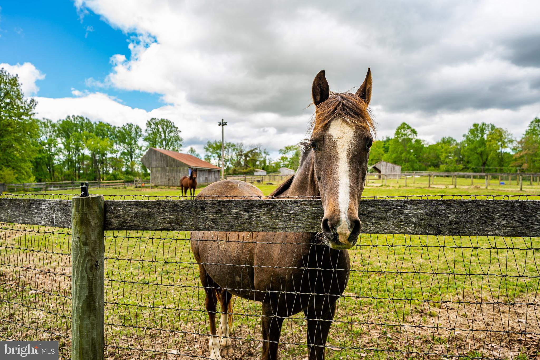 CHESHIRE HUNT - Residential