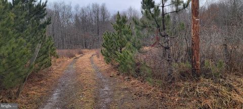 Vacant Land For Sale - Camp Galilee Road<br/> Preston County, TERRA ALTA, WV 26764
