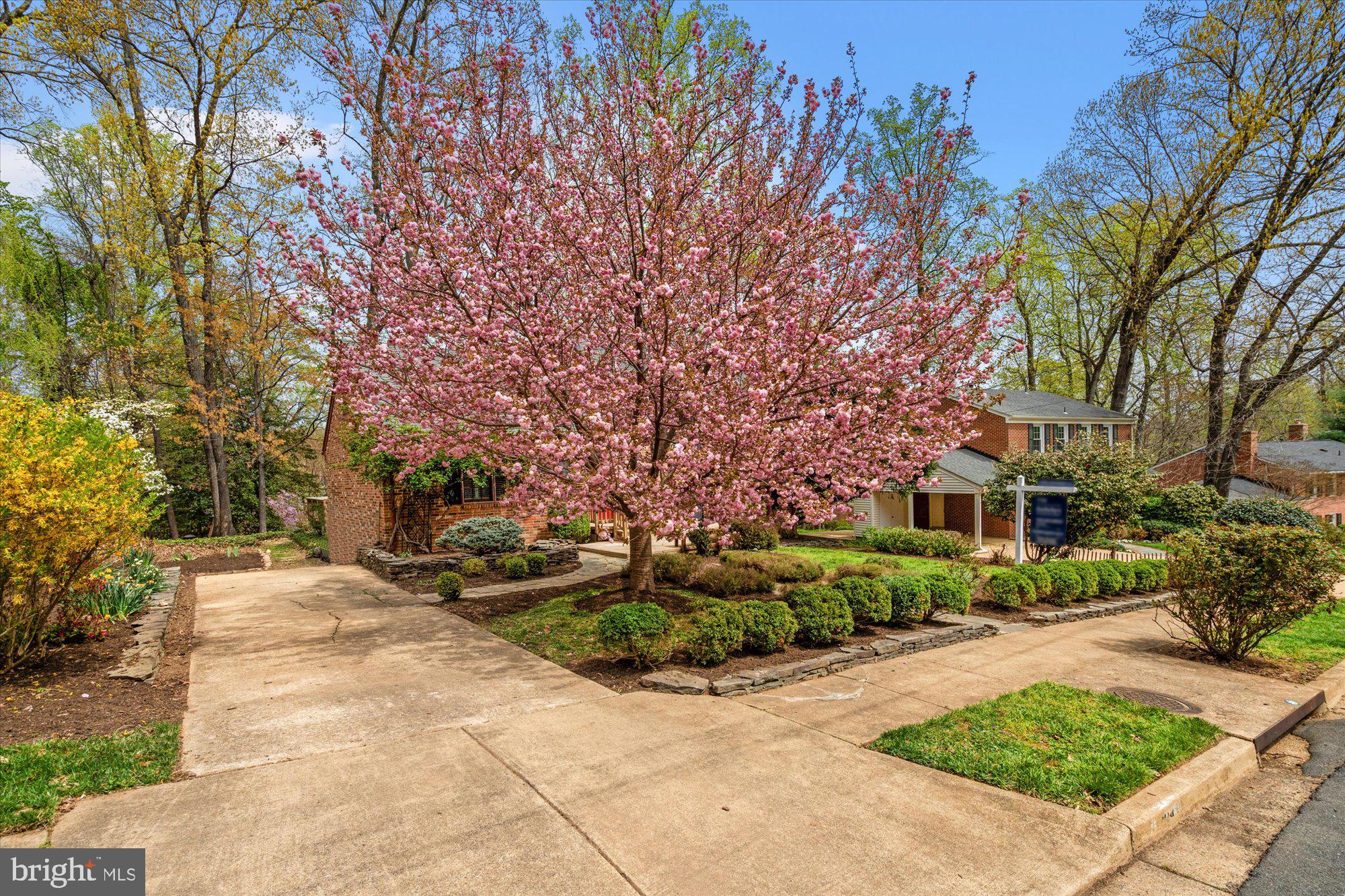 8914 MORELAND LANE