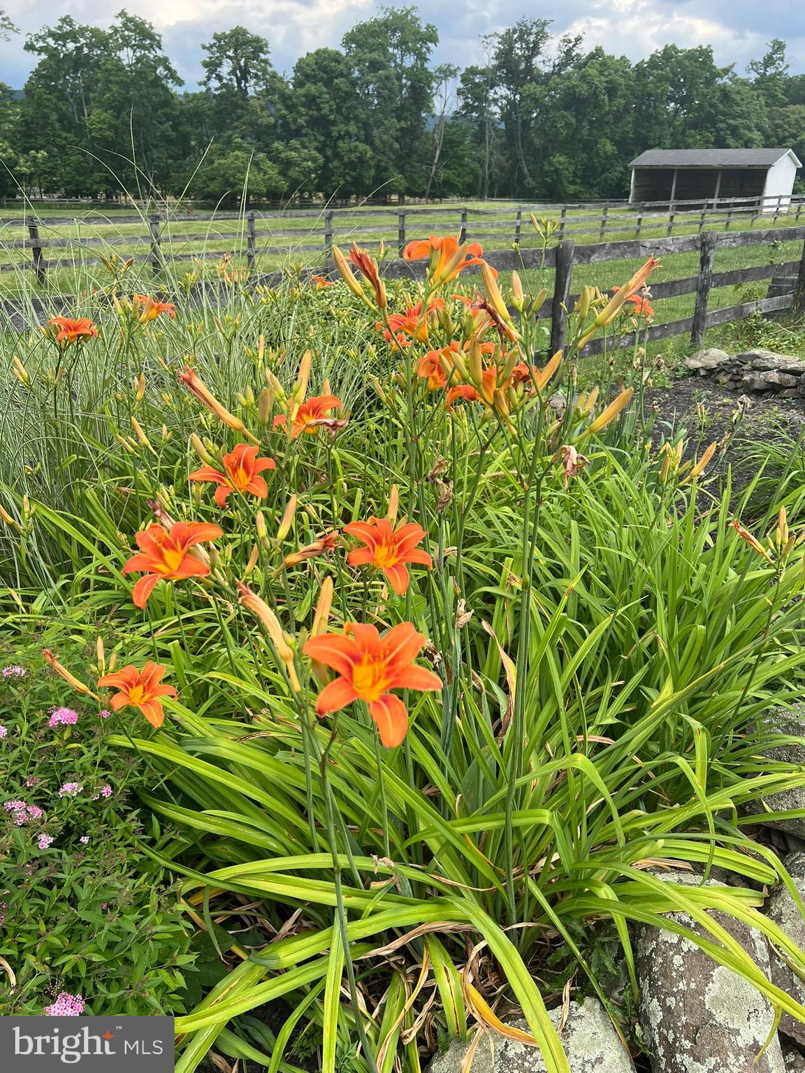 MILLIGANS RUN - Residential