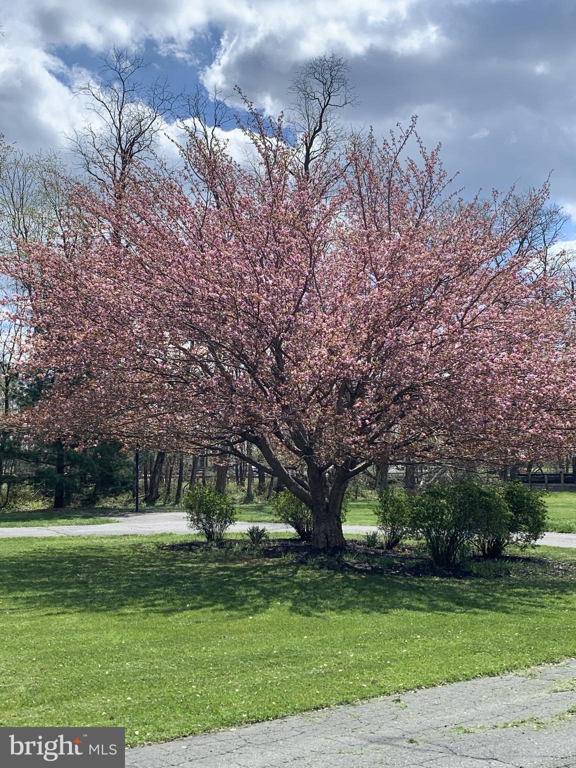 MILLIGANS RUN - Residential