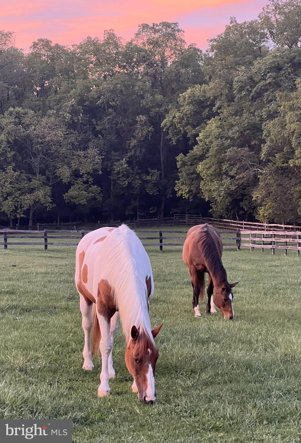 MILLIGANS RUN - Residential