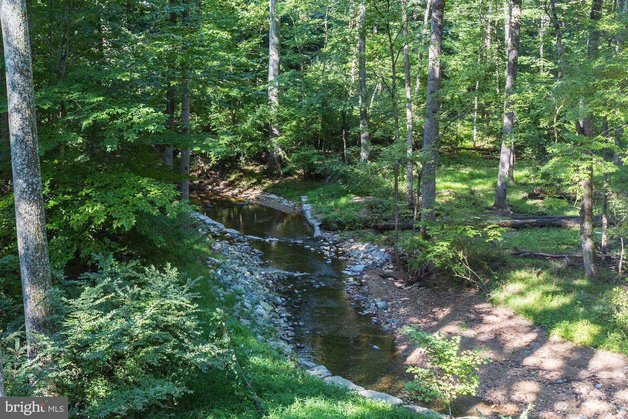 CONGRESSIONAL FOREST - Residential