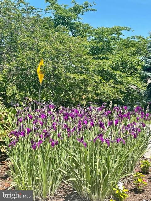 FERNLEIGH - Residential Lease