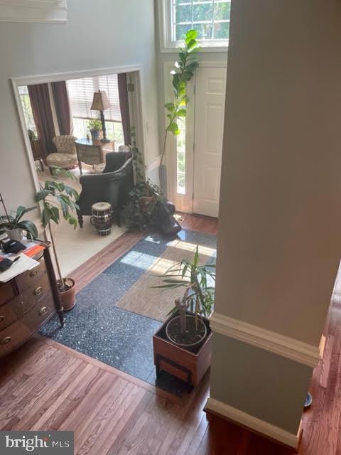 FERNLEIGH - Residential Lease