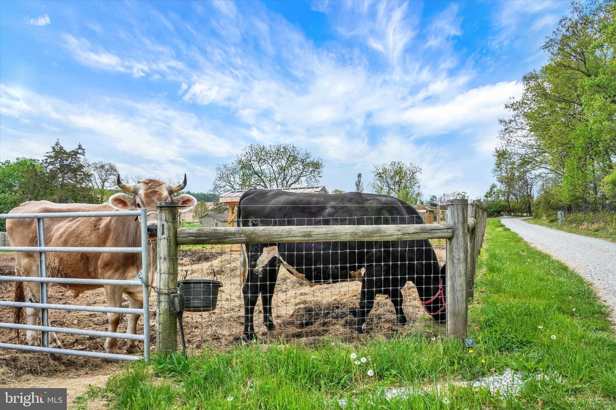 AIRVILLE - Farm