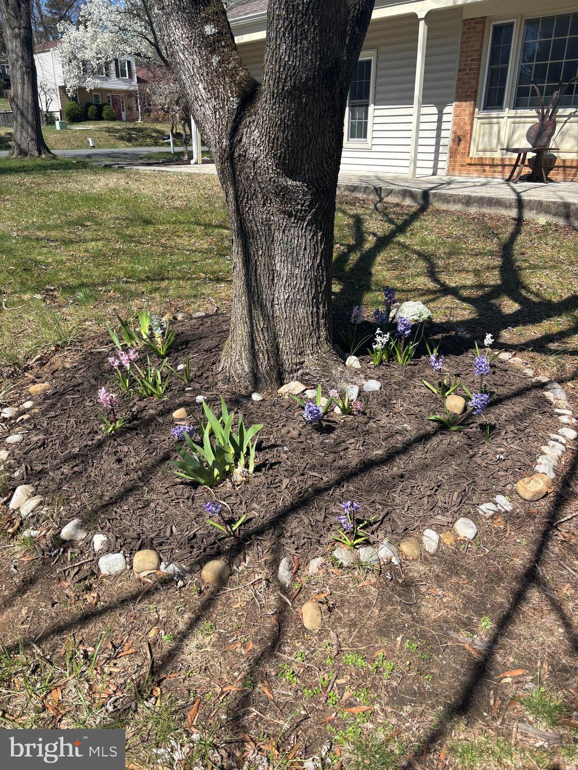 QUINCE ORCHARD KNOLLS - Residential