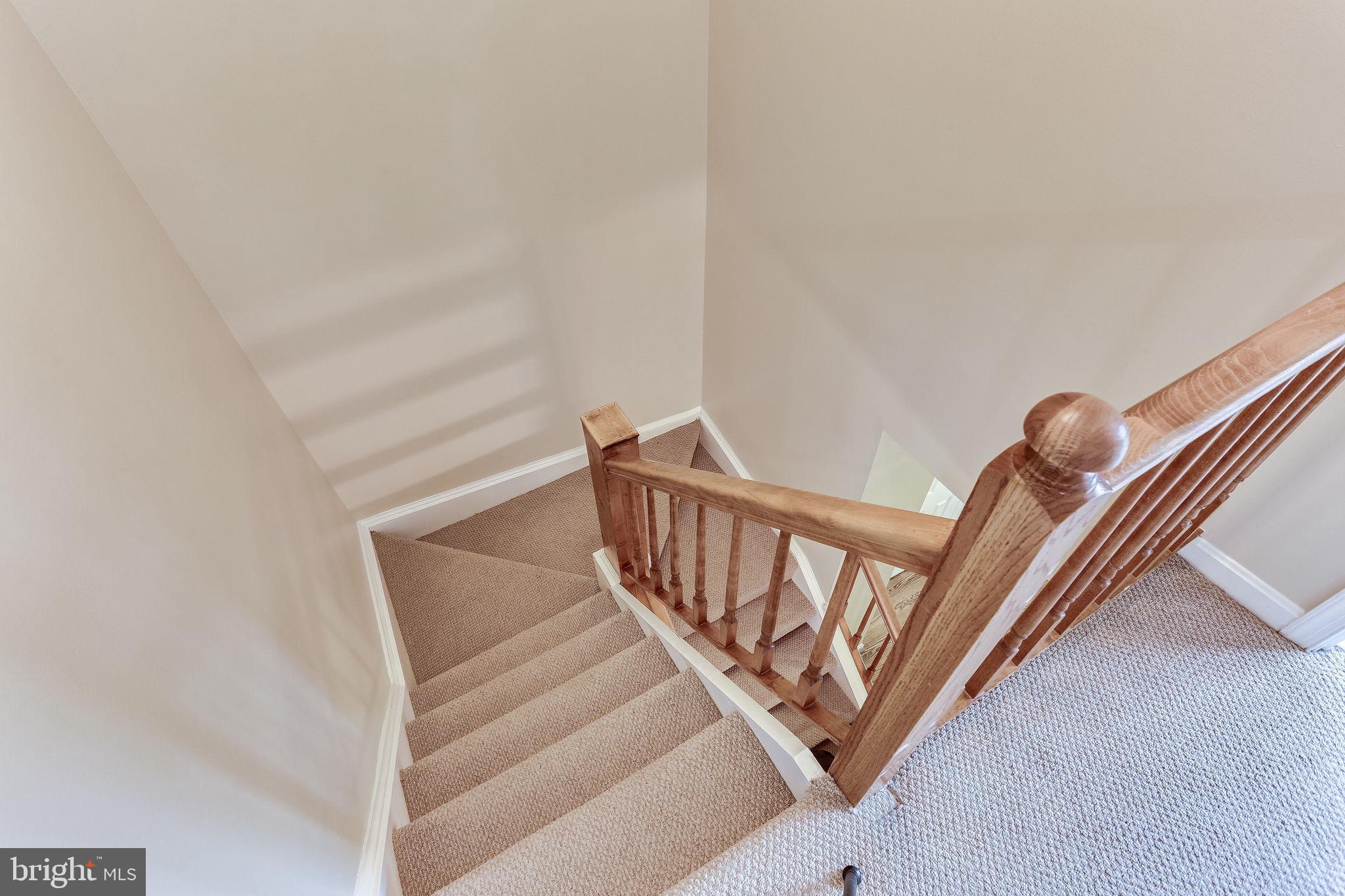 CARLISLE PARK - Residential Lease