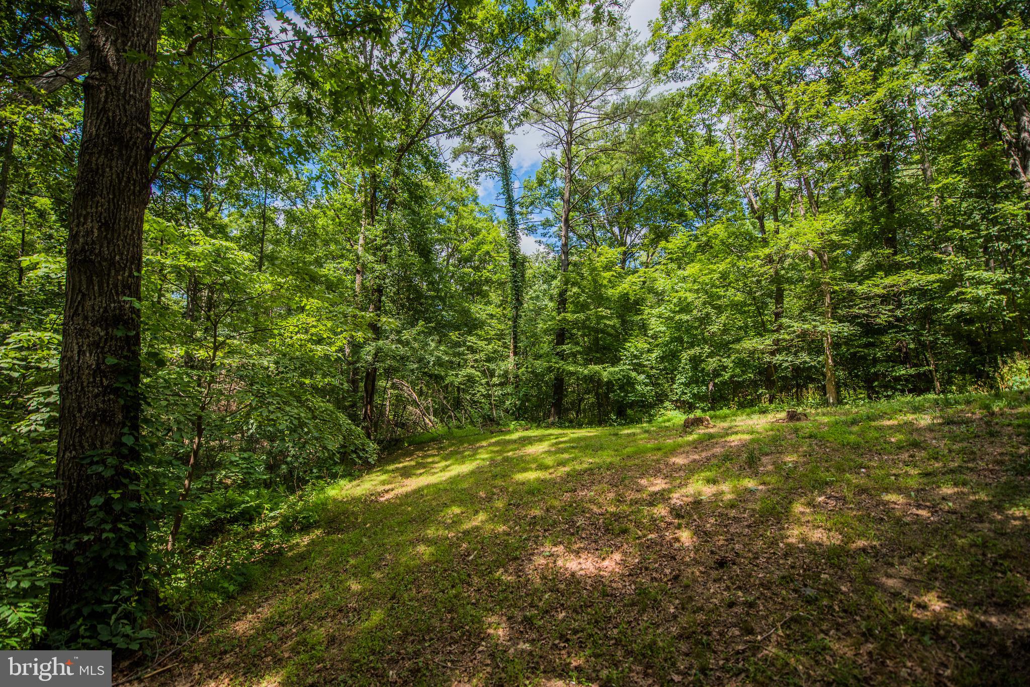 GLENWOOD FOREST - Residential