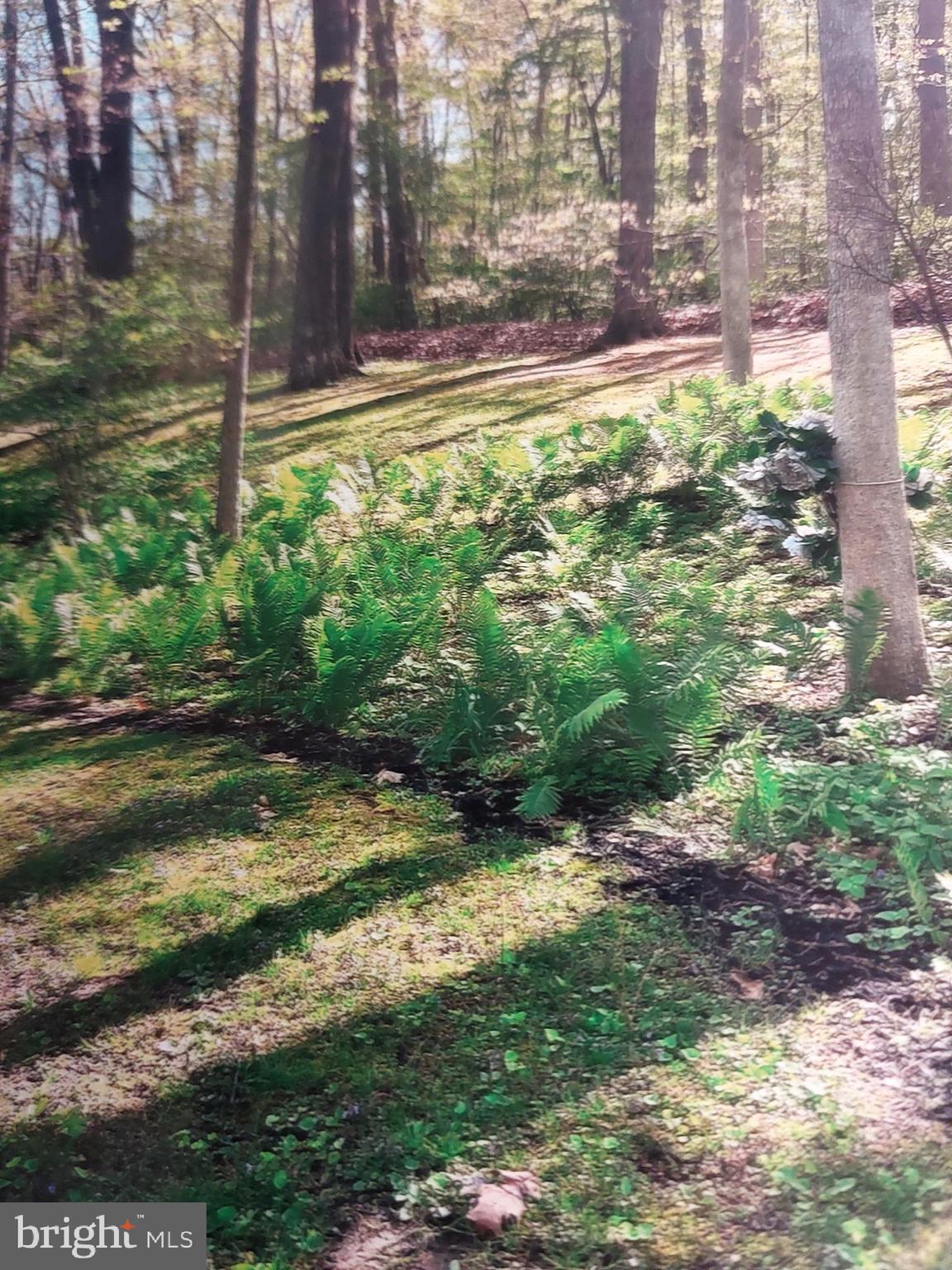BETHLEHEM - Residential