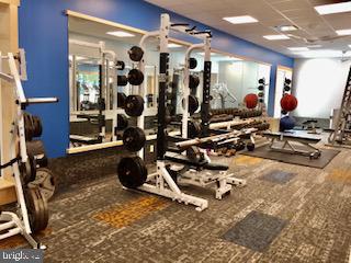 LAKE OF THE WOODS - Land