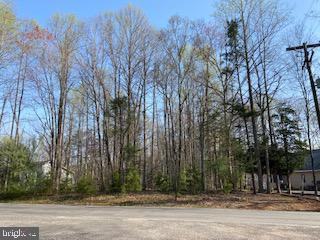 LAKE OF THE WOODS - Land