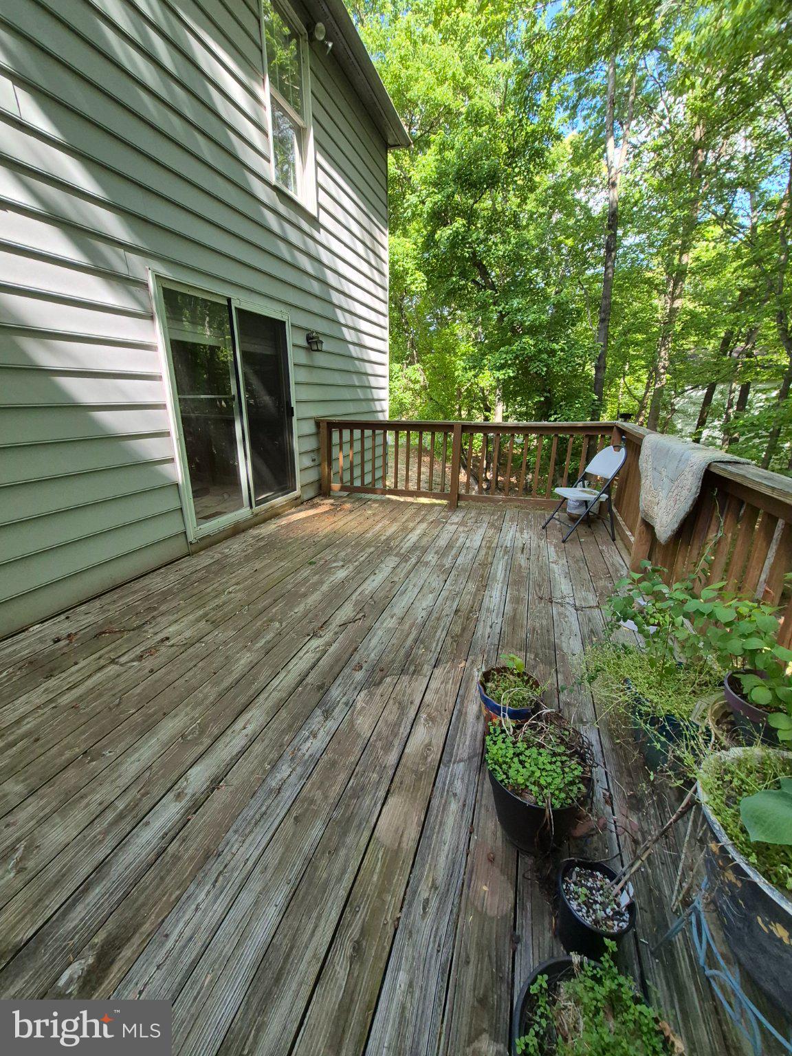 BATTERSEA - Residential