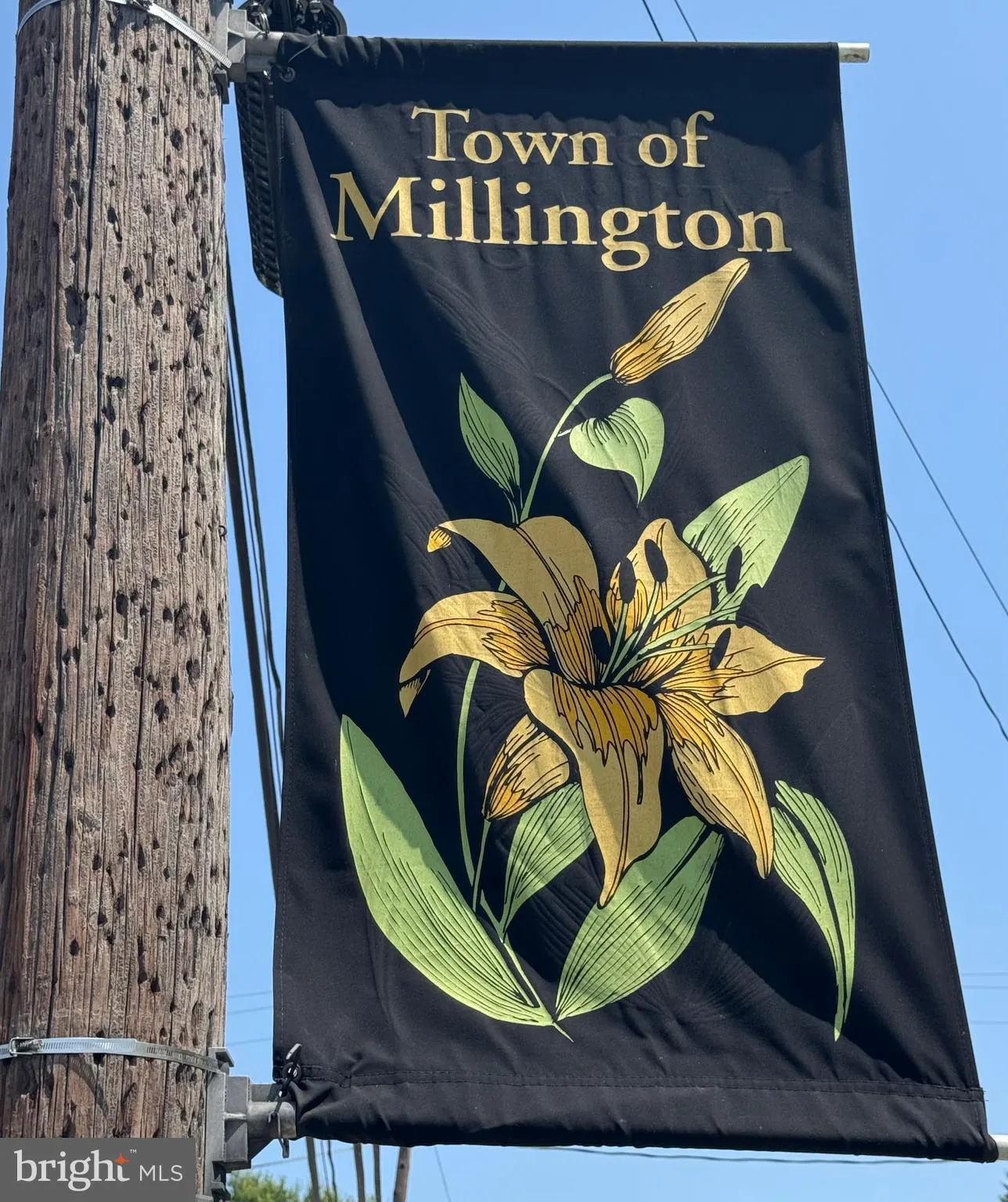 Additional image 54 of 31923 River Park Road, Millington, MD 21651
