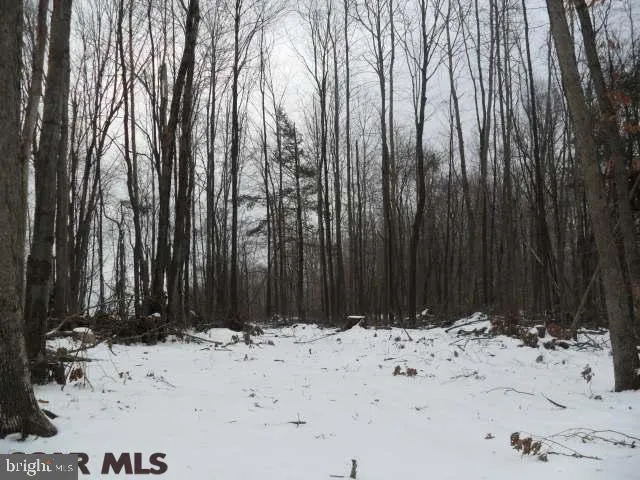 Additional image 2 of ON Blue Spruce Road, Philipsburg, PA 16866