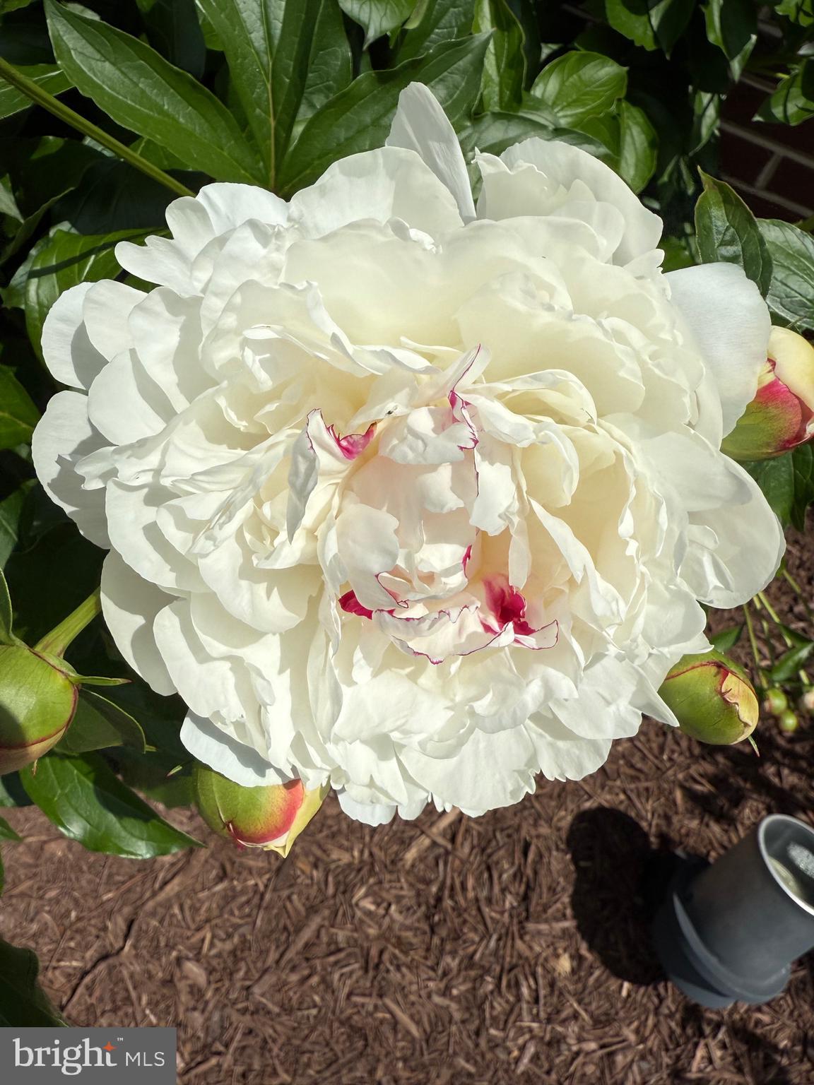 BROOKEFIELD - Residential