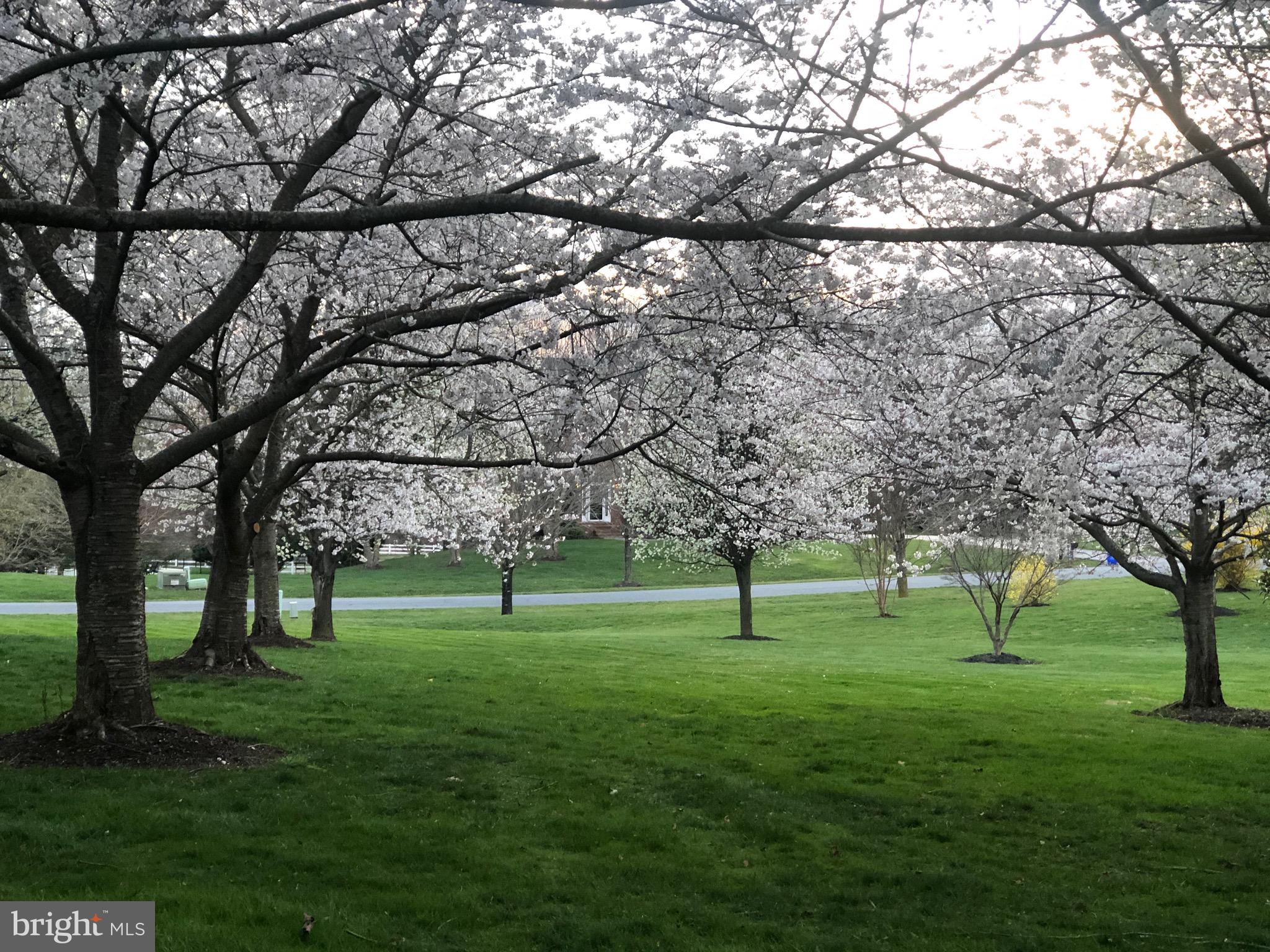 BROOKEFIELD - Residential