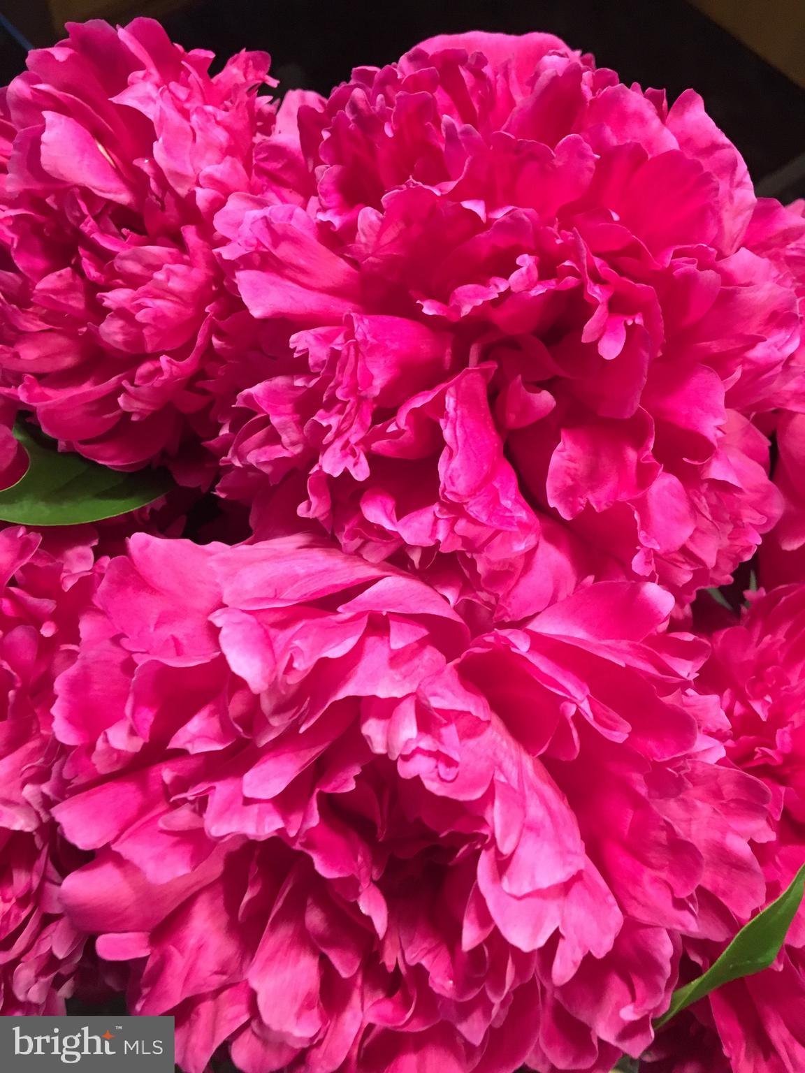 BROOKEFIELD - Residential