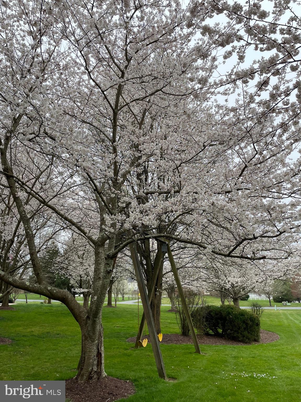 BROOKEFIELD - Residential