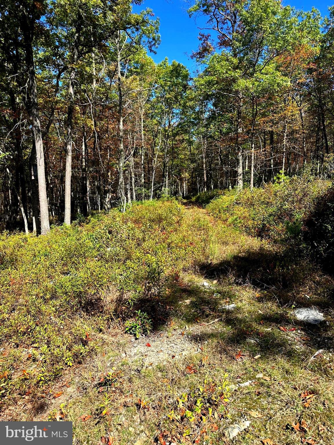 NONE-UNRESTRICTED - Residential