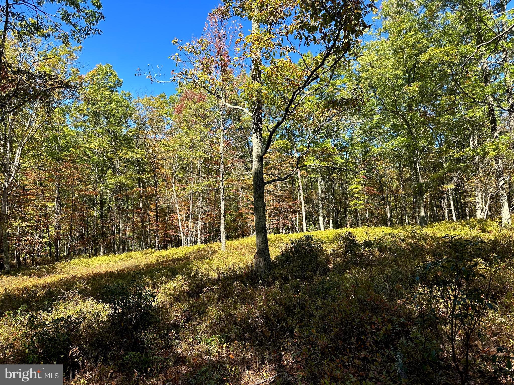 NONE-UNRESTRICTED - Residential