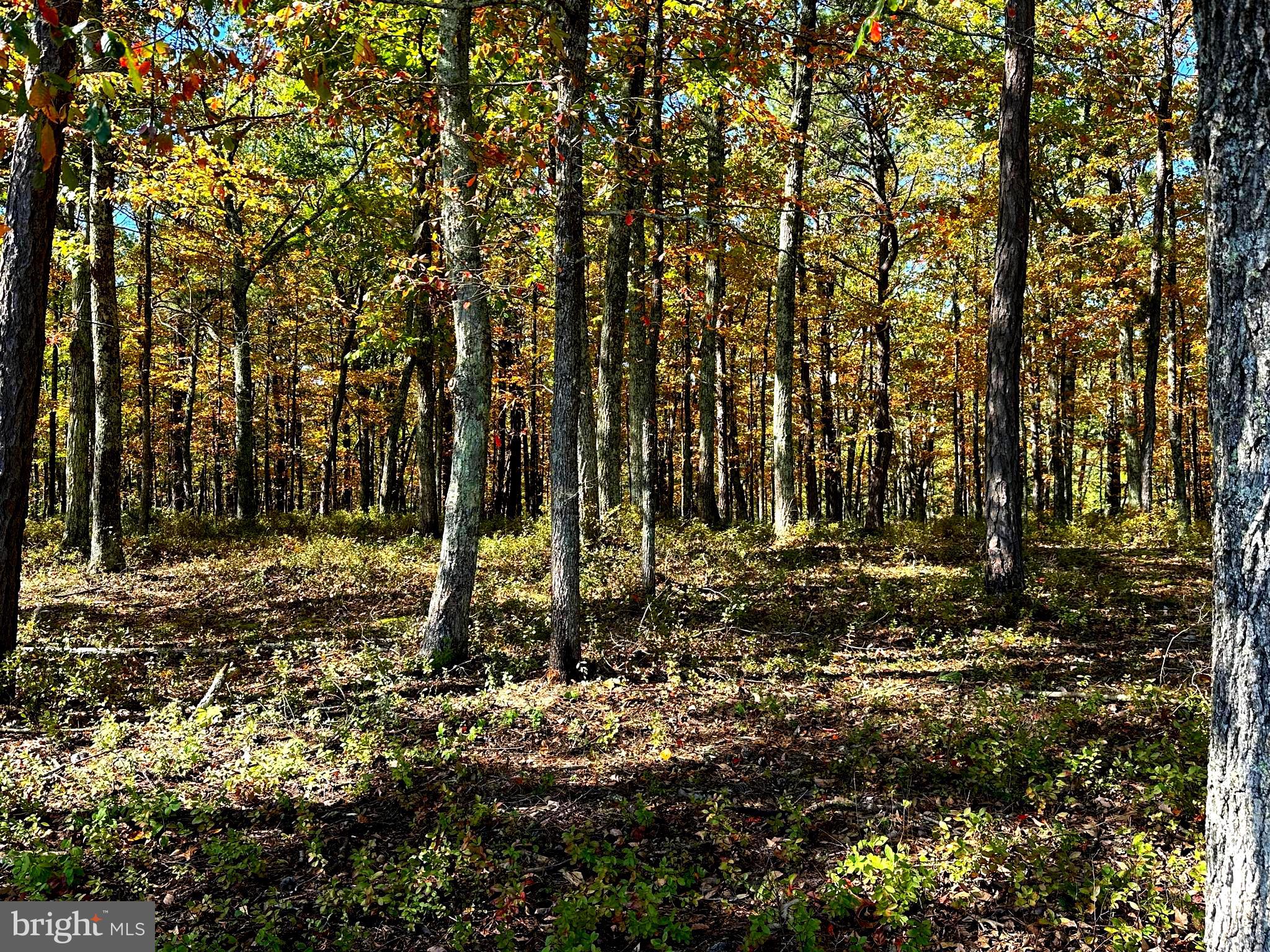 NONE-UNRESTRICTED - Residential