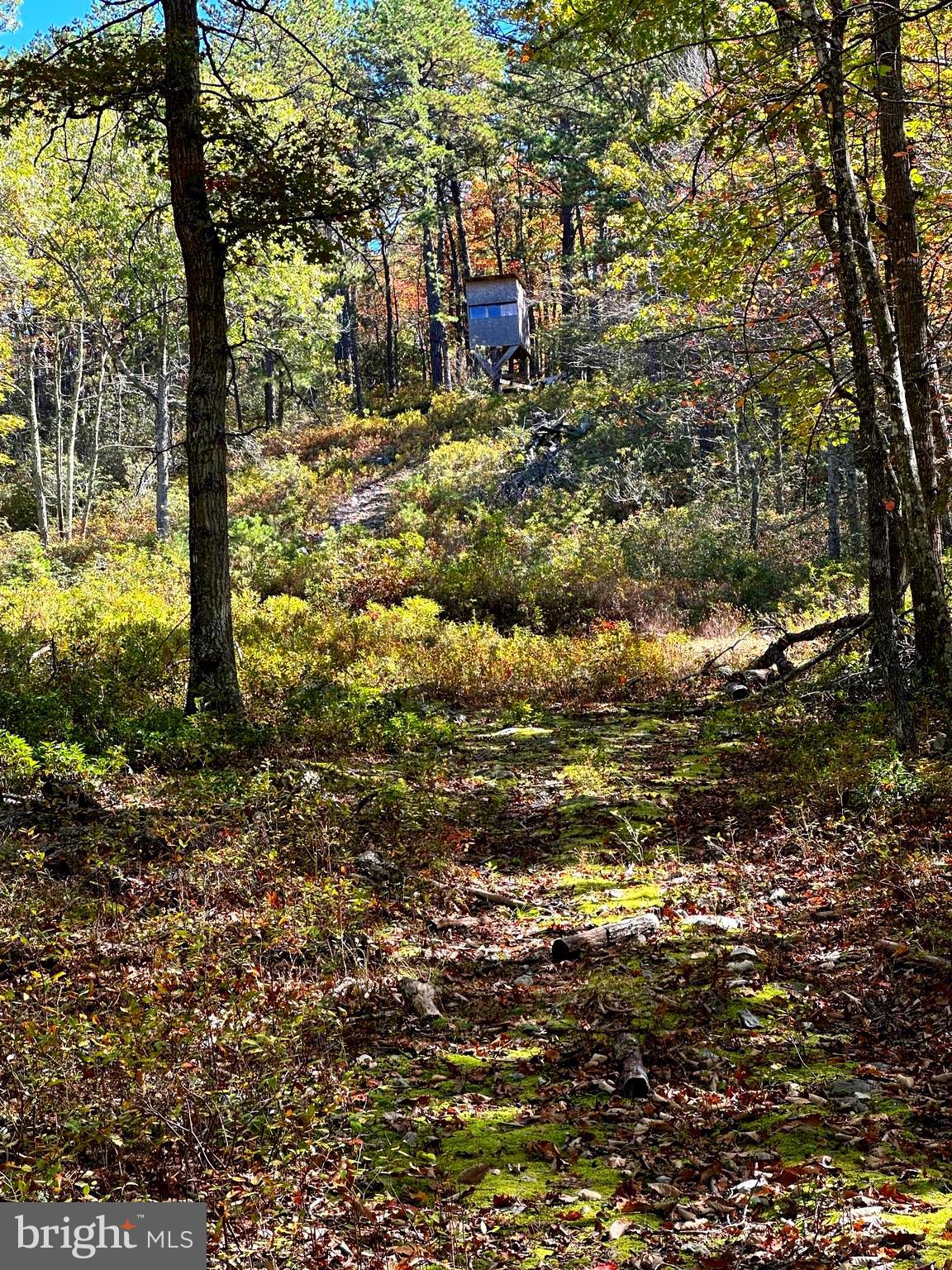 NONE-UNRESTRICTED - Residential