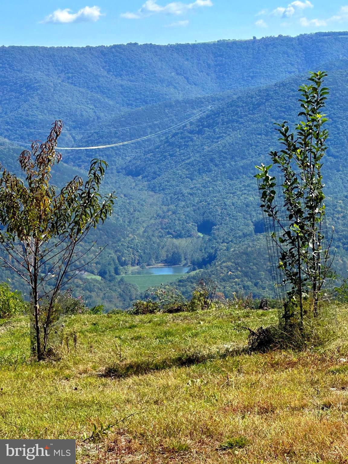 NONE-UNRESTRICTED - Residential