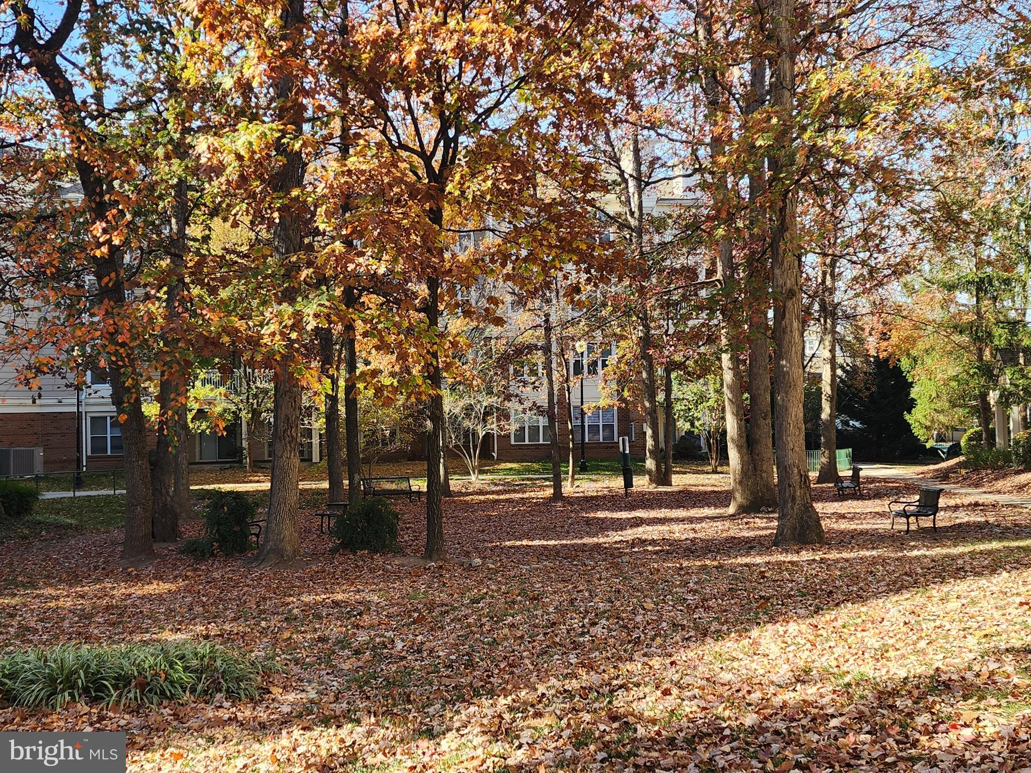 WORLDGATE CONDO - Residential Lease