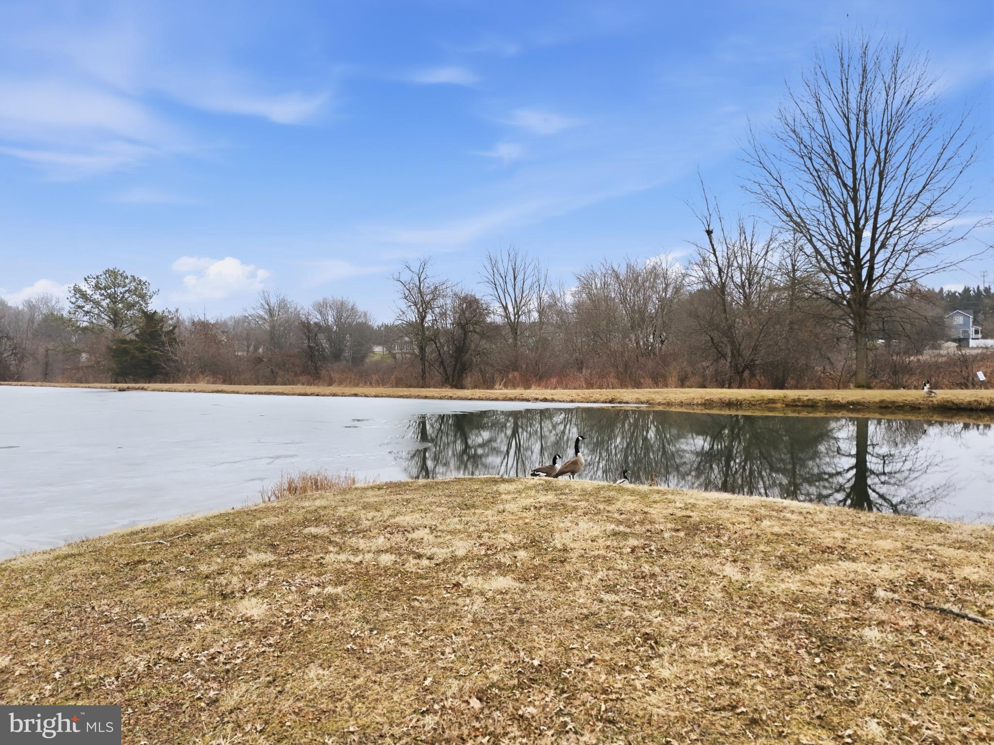 STEWARTSTOWN STATION - Residential
