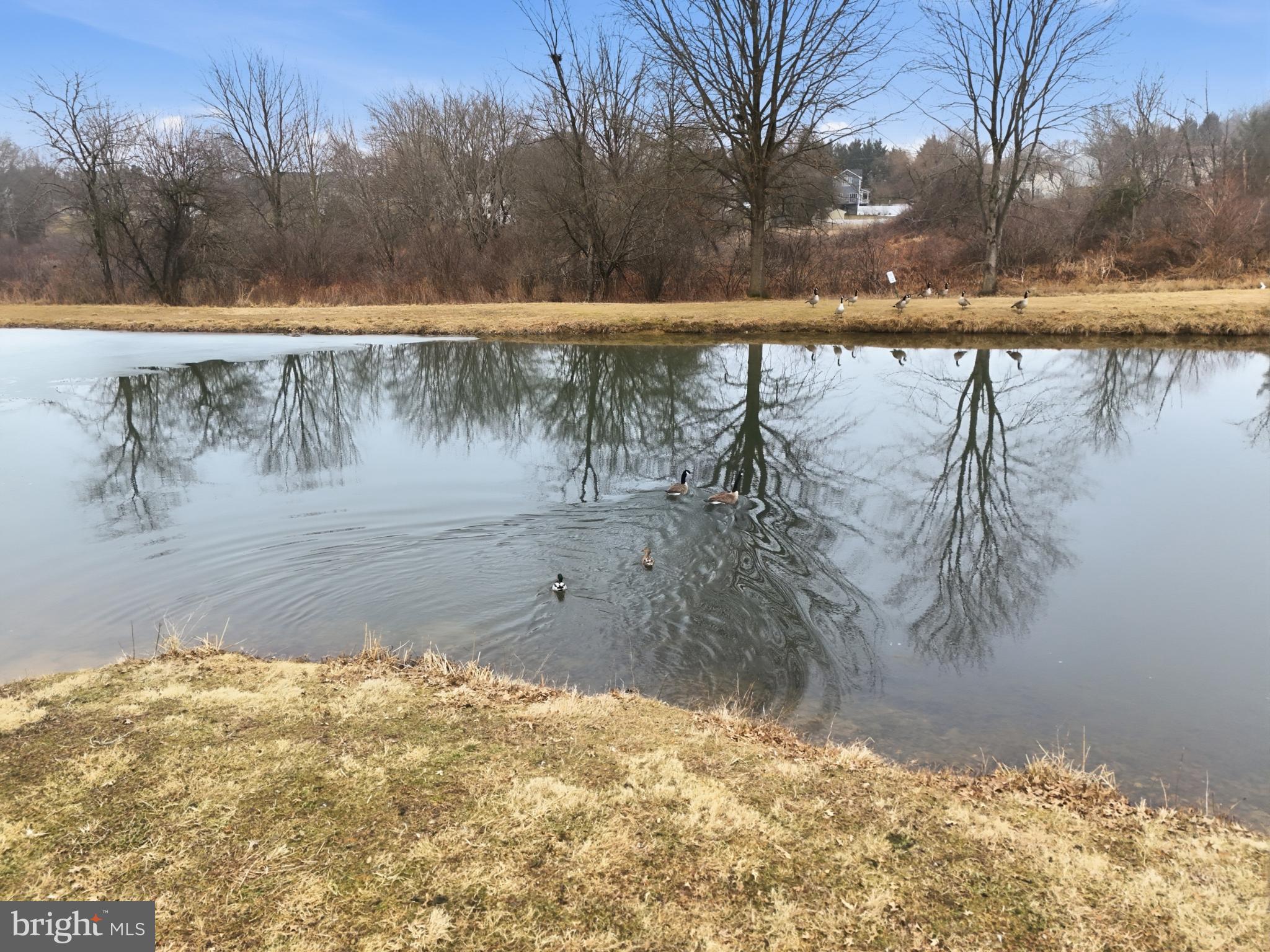 STEWARTSTOWN STATION - Residential