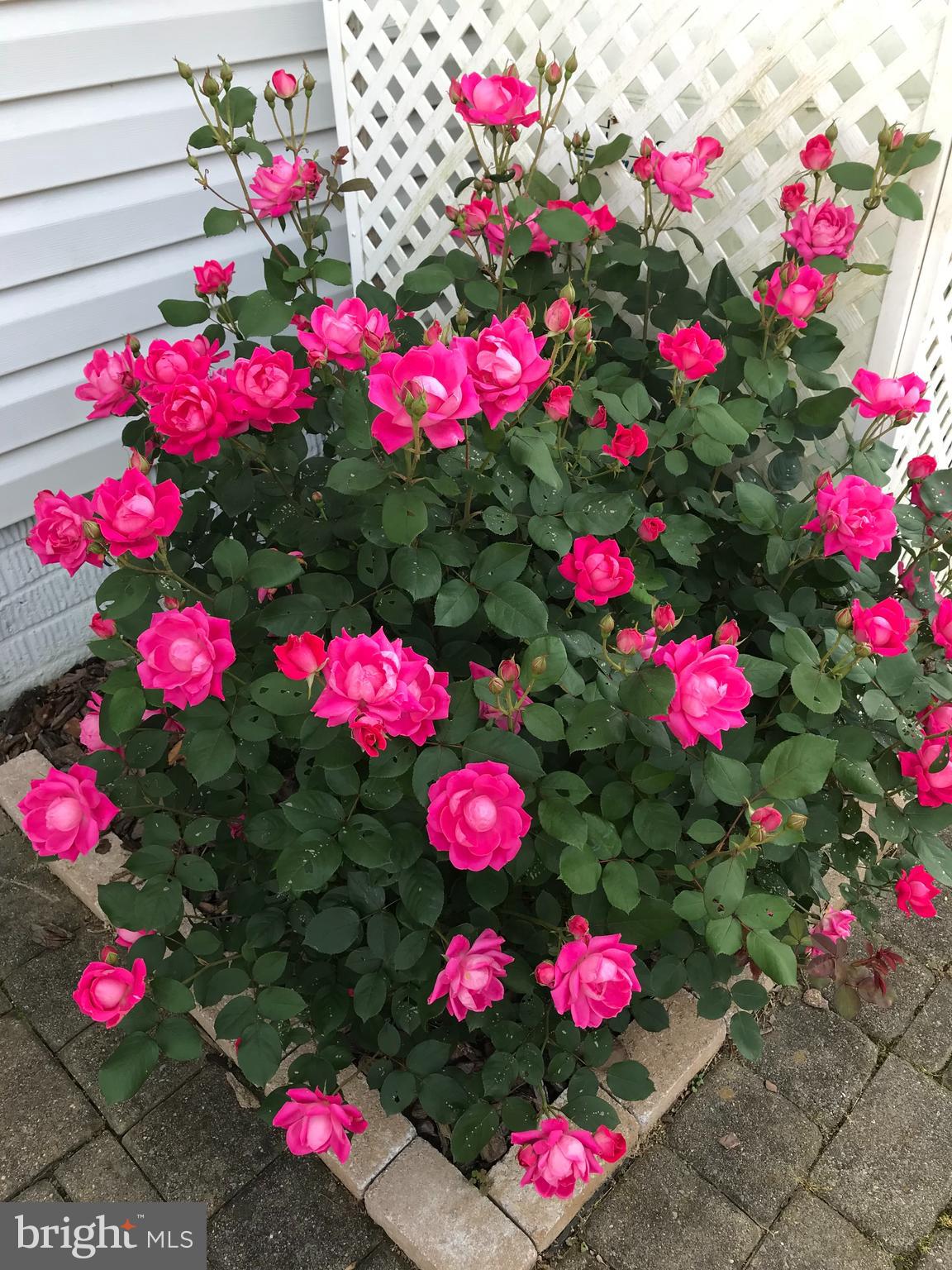 HILLMEADE - Residential