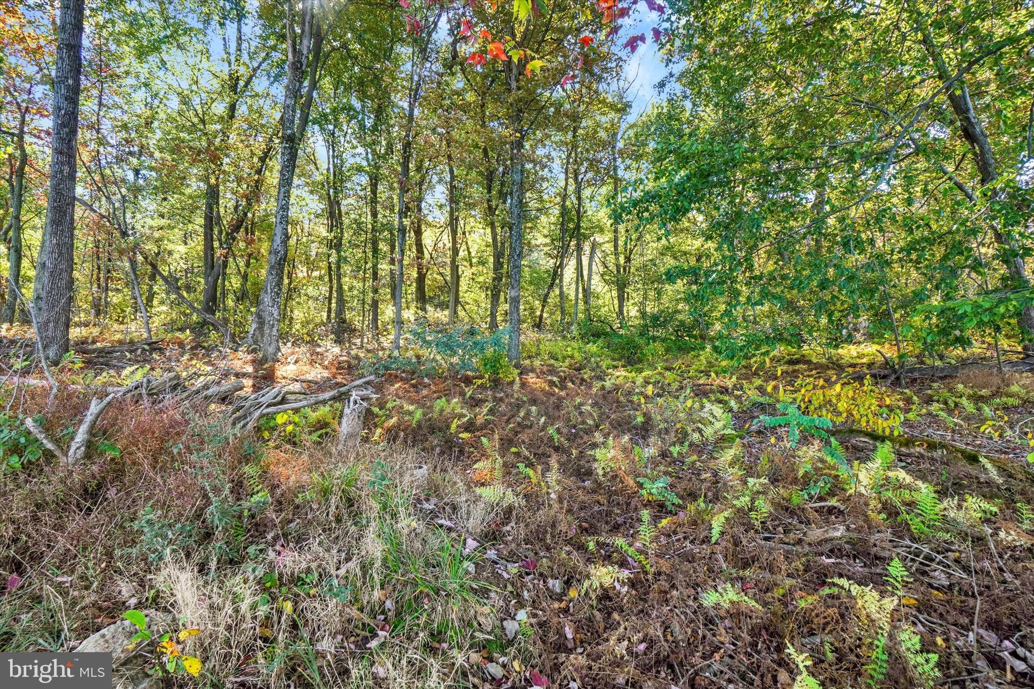 ROCKVILLE ESTATES - Residential